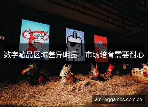 数字藏品区域差异明显，市场培育需要耐心